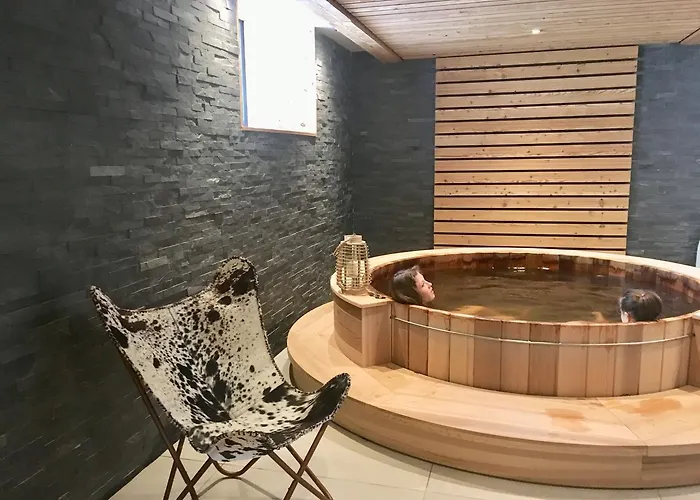 Appart'Hotel Aiguille Verte&Spa Chamonix